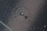 DSC_4399.JPG