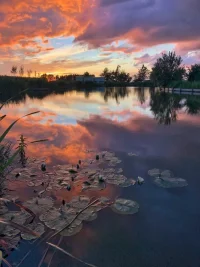 C9E5F50F-2C40-4937-A7AD-73C84DB53B98.webp