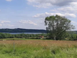 1F52B810-886D-49E0-BA08-FF6617ECB739.webp