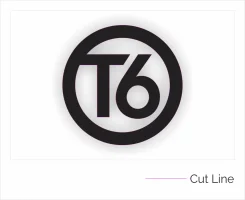t6.webp