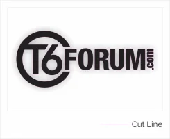 t6f.webp