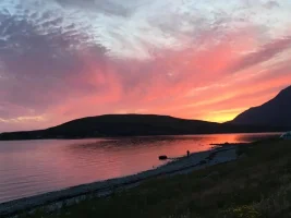 upload_2019-7-8_20-5-23.webp