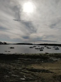 IMG_20190808_183308.webp