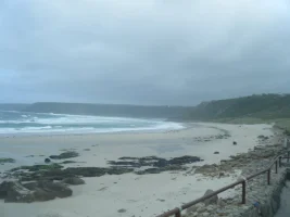 DSCF0010.webp
