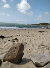 IMG_20190810_133700.webp