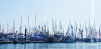 IMG_20190919_113647__01.jpg