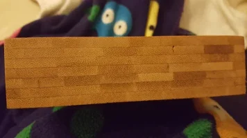 bamboo 2.webp