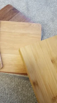 bamboo 3.webp