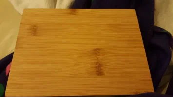 bamboo 1.webp