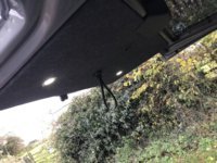 IMG_3800.jpeg