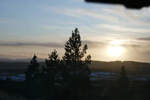 P1070697.webp