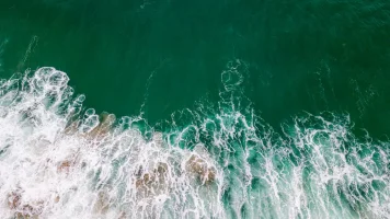 43E92315-E4E5-4120-B1B6-BFC142516225.webp