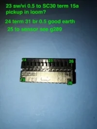 F756D7DC-617E-4759-AF92-1AA8741D5FBE.webp