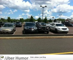 IMG_6004.webp
