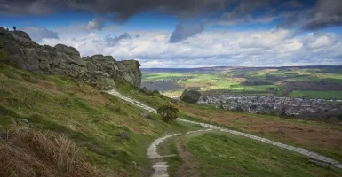 Cow&Calf2.webp