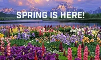 spring.webp