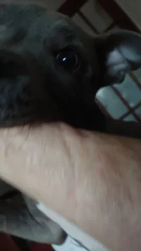 DSC_0225.webp