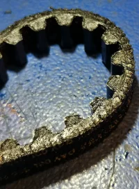 belt.webp