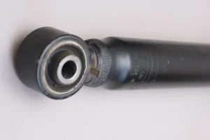 DSCF7325.webp