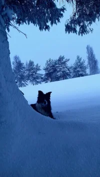 IMG-20171229-WA0016.webp