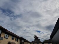20200503_101429.jpg