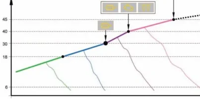 Regen_phases.webp