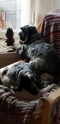 IMG-20191112-WA0001.webp