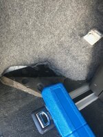 IMG_8731.jpeg