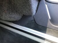 IMG_8729.jpeg