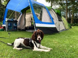 Tent.webp Tent.webp