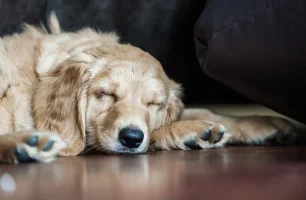 5B1C7C0F-EF16-4AE0-9DBC-FA3616587496.webp