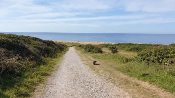 20200712_094030.webp