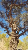 20200829_090423.jpg