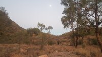 20200831_183830.jpg