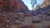 20200902_094937.jpg