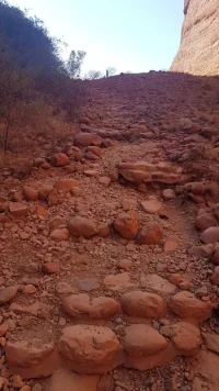 20200905_103202.jpg