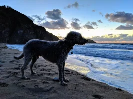 MVIMG_20181006_191637.webp