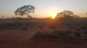 20200911_180736.jpg