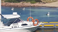20200915_135842.jpg