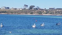 20200915_140131.jpg