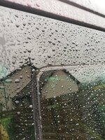 IMG_20201003_093904.jpg