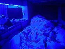 20201020_220424.webp
