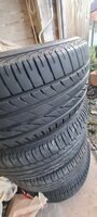 20201022_075905.jpg