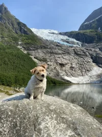 799ED113-0086-4C3D-919F-57071EACCA14.webp