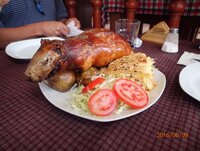 5530D7CB-2872-481A-A244-ADCE449C66F8.jpeg