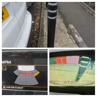 20201118_134532-COLLAGE.jpg 20201118_134532-COLLAGE.jpg