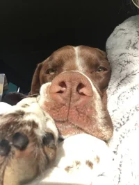 IMG-20190507-WA0000.webp