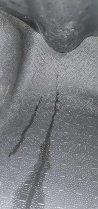 20201212_102137.webp