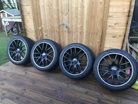 IMG_5176.jpeg