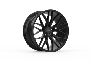 Blitz Satin Black 1 copy.png